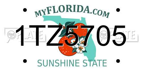 1TZ5705 Florida License Plate