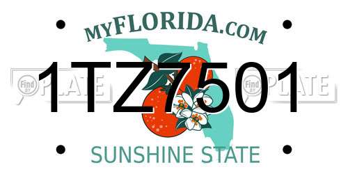 1TZ7501 Florida License Plate