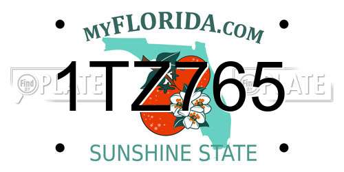 1TZ765 Florida License Plate