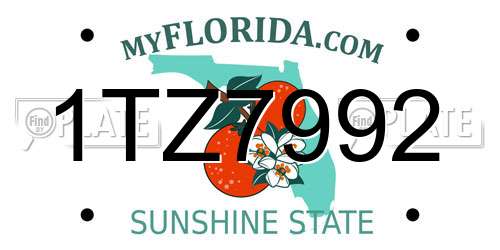 1TZ7992 Florida License Plate