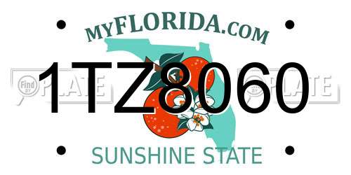 1TZ8060 Florida License Plate