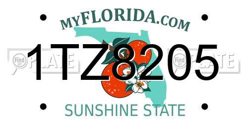 1TZ8205 Florida License Plate