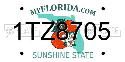 1TZ8705 Florida License Plate