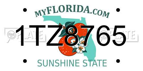 1TZ8765 Florida License Plate