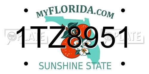 1TZ8951 Florida License Plate