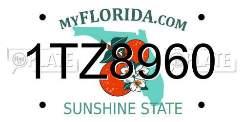 1TZ8960 Florida License Plate