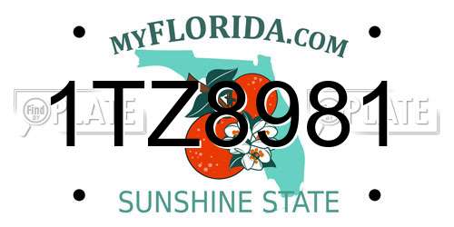 1TZ8981 Florida License Plate