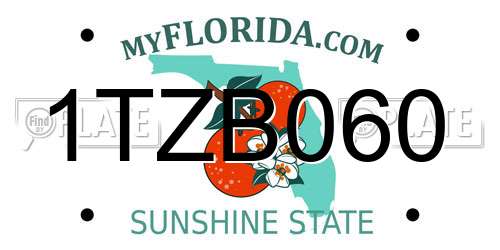 1TZB060 Florida License Plate