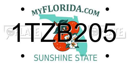 1TZB205 Florida License Plate