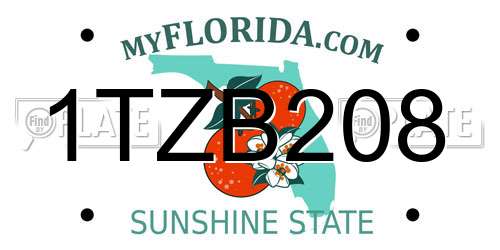 1TZB208 Florida License Plate