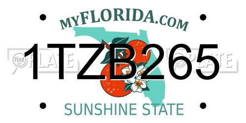 1TZB265 Florida License Plate