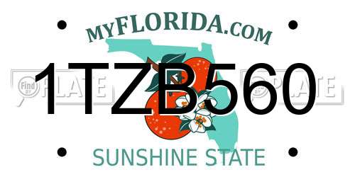 1TZB560 Florida License Plate