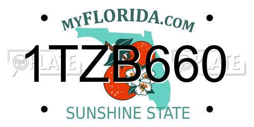 1TZB660 Florida License Plate