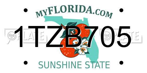 1TZB705 Florida License Plate
