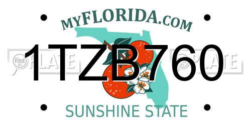 1TZB760 Florida License Plate