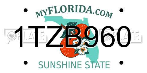 1TZB960 Florida License Plate
