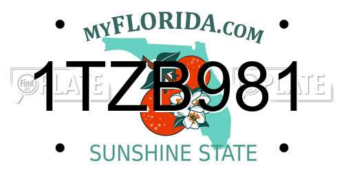 1TZB981 Florida License Plate