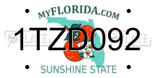 1TZD092 Florida License Plate
