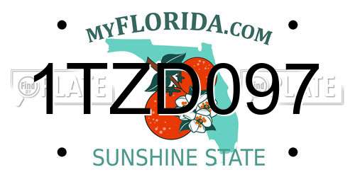 1TZD097 Florida License Plate