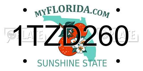 1TZD260 Florida License Plate