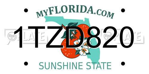 1TZD820 Florida License Plate