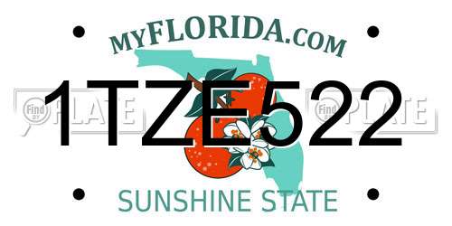 1TZE522 Florida License Plate