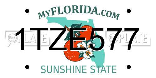 1TZE577 Florida License Plate