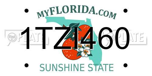 1TZI460 Florida License Plate