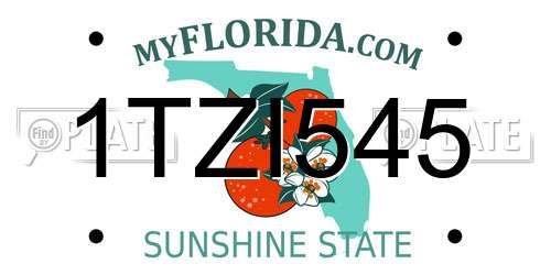1TZI545 Florida License Plate