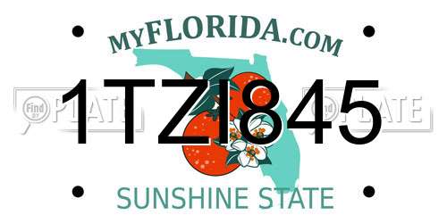 1TZI845 Florida License Plate