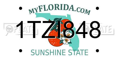1TZI848 Florida License Plate