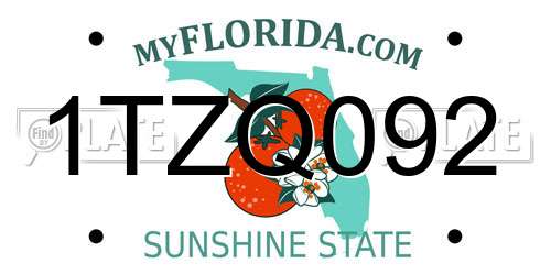 1TZQ092 Florida License Plate