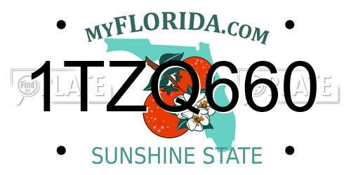 1TZQ660 Florida License Plate