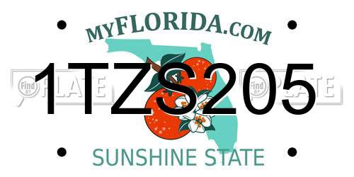 1TZS205 Florida License Plate