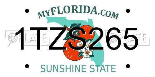 1TZS265 Florida License Plate