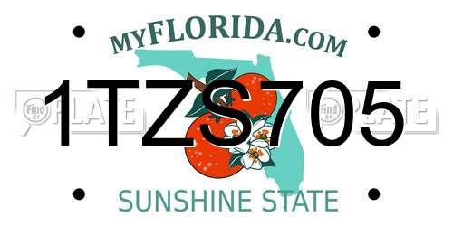 1TZS705 Florida License Plate