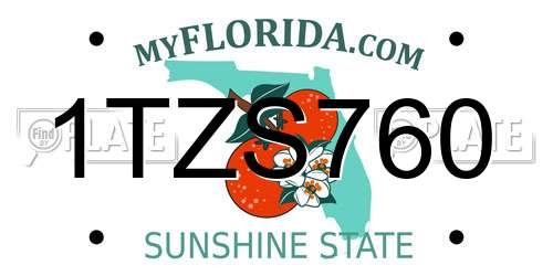 1TZS760 Florida License Plate