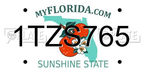 1TZS765 Florida License Plate