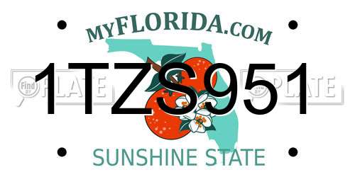 1TZS951 Florida License Plate