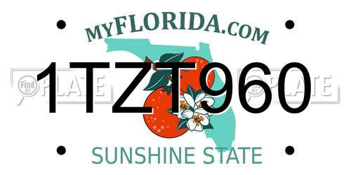 1TZT960 Florida License Plate
