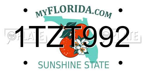1TZT992 Florida License Plate
