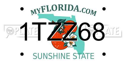 1TZZ68 Florida License Plate