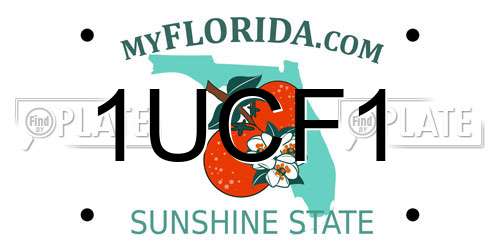 1UCF1 Florida License Plate