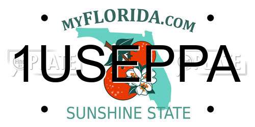 1USEPPA Florida License Plate