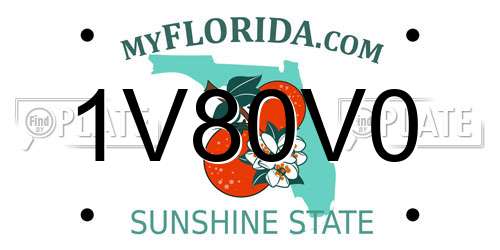 1V80V0 Florida License Plate
