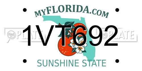 1VT692 Florida License Plate