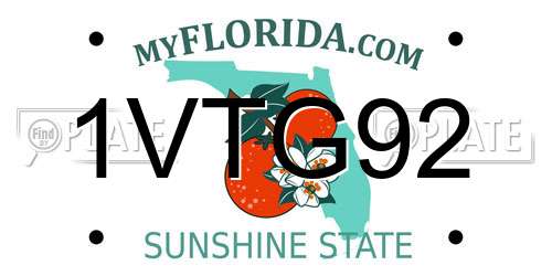 1VTG92 Florida License Plate