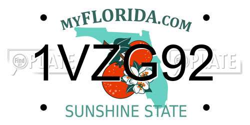 1VZG92 Florida License Plate