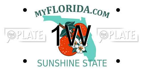 1W Florida License Plate