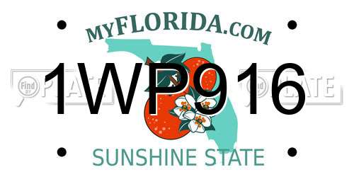 1WP916 Florida License Plate